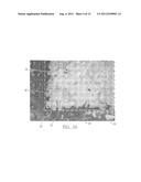 CONTINUOUS PHASE COMPOSITE FOR MUSCULOSKELETAL REPAIR diagram and image