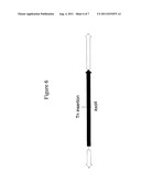 COMPOSITIONS AND METHODS FOR MAKING ANDROSTENEDIONES diagram and image