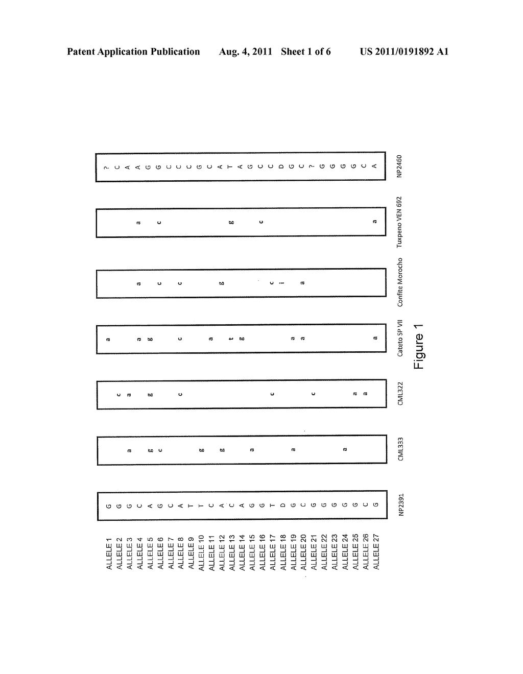 GENETIC MARKERS ASSOCIATED WITH DROUGHT TOLERANCE IN MAIZE - diagram, schematic, and image 02