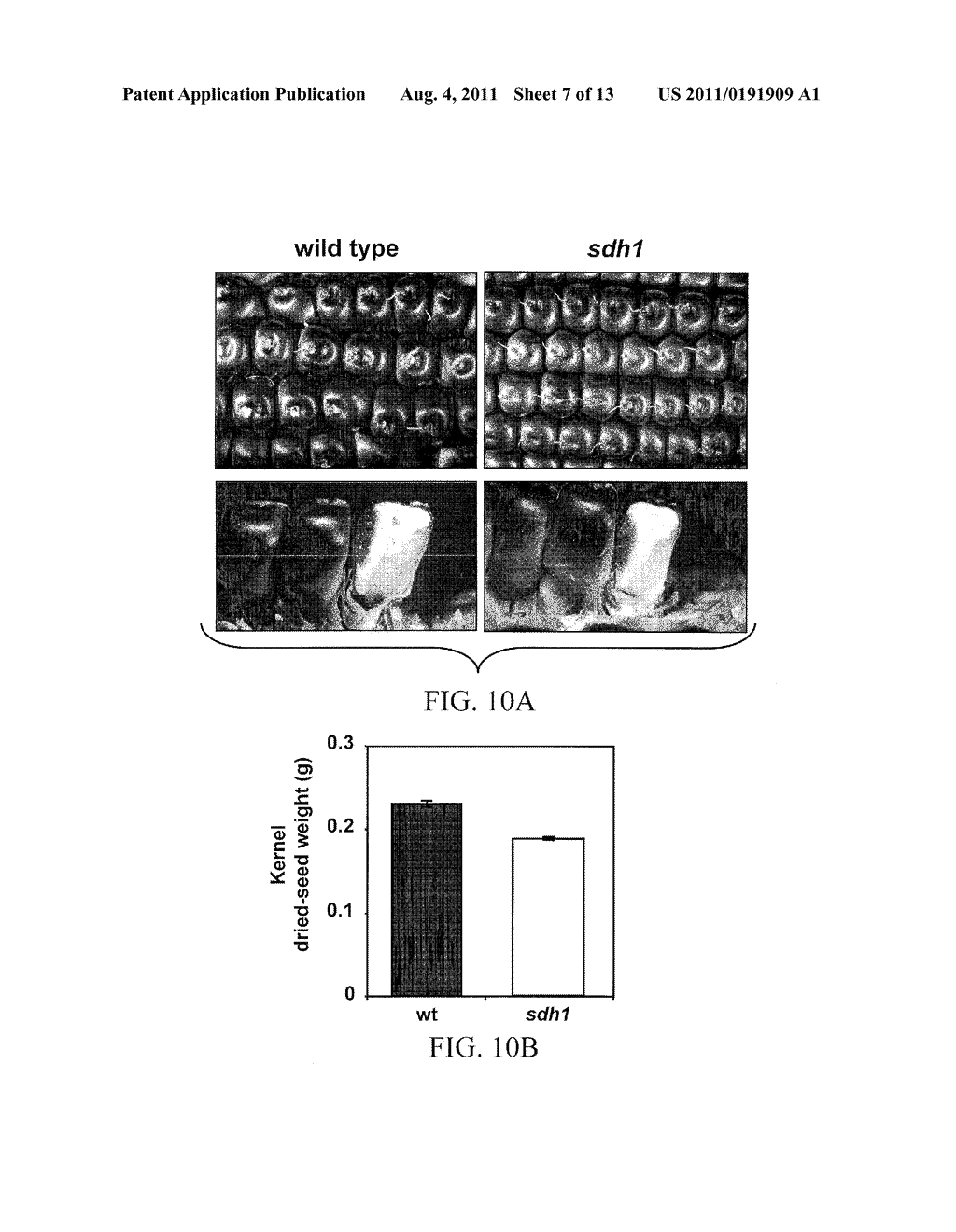 MATERIALS AND METHODS FOR MODULATING SEED SIZE, SEED NUMBER, AND SEED     SUGAR CONTENT IN PLANTS - diagram, schematic, and image 08