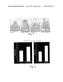 METHOD FOR THE ALTERATION OF PLANTS USING CLE POLYPEPTIDES/PEPTIDES diagram and image