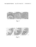 METHOD FOR THE ALTERATION OF PLANTS USING CLE POLYPEPTIDES/PEPTIDES diagram and image