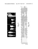 METHOD FOR THE ALTERATION OF PLANTS USING CLE POLYPEPTIDES/PEPTIDES diagram and image