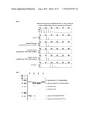 CELLS PRODUCING GLYCOPROTEINS HAVING ALTERED GLYCOSYLATION PATTERNS AND     METHOD AND USE THEREOF diagram and image