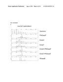 CELLS PRODUCING GLYCOPROTEINS HAVING ALTERED GLYCOSYLATION PATTERNS AND     METHOD AND USE THEREOF diagram and image