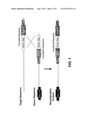 Targeted Integration and Stacking of DNA Through Homologous Recombination diagram and image