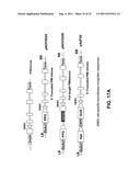 Targeted Integration and Stacking of DNA Through Homologous Recombination diagram and image