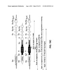 Targeted Integration and Stacking of DNA Through Homologous Recombination diagram and image