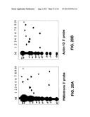 Targeted Integration and Stacking of DNA Through Homologous Recombination diagram and image