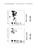 Targeted Integration and Stacking of DNA Through Homologous Recombination diagram and image