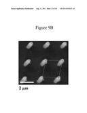 VERSATILE HIGH ASPECT RATIO ACTUATABLE NANOSTRUCTURED MATERIALS THROUGH     REPLICATION diagram and image