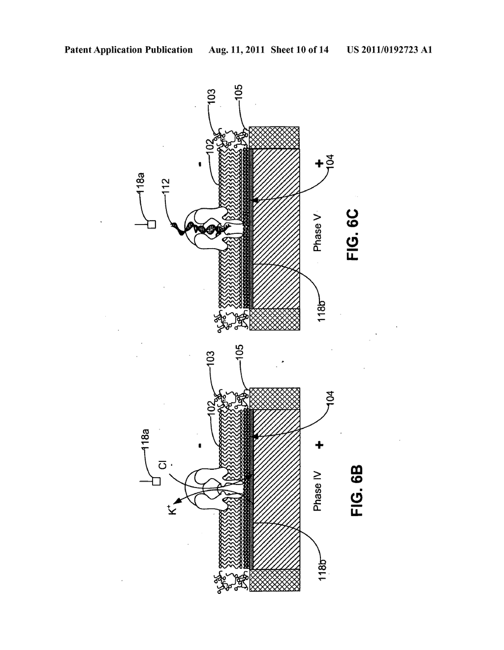 Systems and methods for manipulating a molecule in a nanopore - diagram, schematic, and image 11