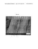 METAL OR METAL OXIDE DEPOSITED FIBROUS MATERIALS diagram and image