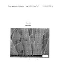 METAL OR METAL OXIDE DEPOSITED FIBROUS MATERIALS diagram and image