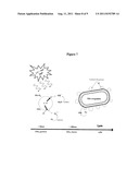 METAL OR METAL OXIDE DEPOSITED FIBROUS MATERIALS diagram and image