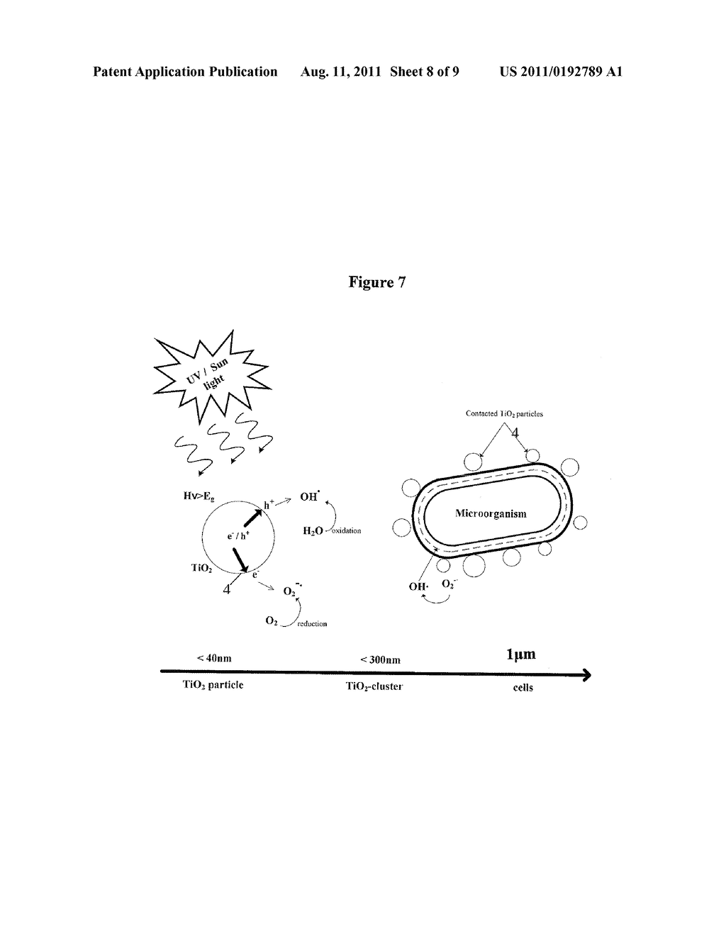 METAL OR METAL OXIDE DEPOSITED FIBROUS MATERIALS - diagram, schematic, and image 09