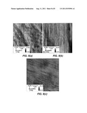 GROWTH OF PLANAR REDUCED DISLOCATION DENSITY M-PLANE GALLIUM NITRIDE BY     HYDRIDE VAPOR PHASE EPITAXY diagram and image
