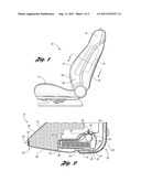VEHICLE SEAT ASSEMBLY WITH SEAT PAD PROTECTION MEMBER diagram and image