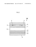 PLASMA DISPLAY PANEL diagram and image