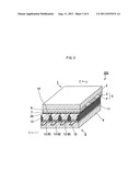 PLASMA DISPLAY PANEL diagram and image