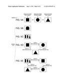 DOCUMENT CAMERA, METHOD FOR CONTROLLING DOCUMENT CAMERA, AND PROGRAM diagram and image