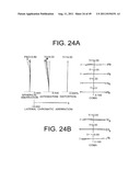 ZOOM LENS SYSTEM, IMAGING APPARATUS, AND METHOD FOR ZOOMING THE ZOOM LENS     SYSTEM diagram and image