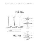 ZOOM LENS SYSTEM, IMAGING APPARATUS, AND METHOD FOR ZOOMING THE ZOOM LENS     SYSTEM diagram and image