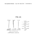 ZOOM LENS SYSTEM, IMAGING APPARATUS, AND METHOD FOR ZOOMING THE ZOOM LENS     SYSTEM diagram and image