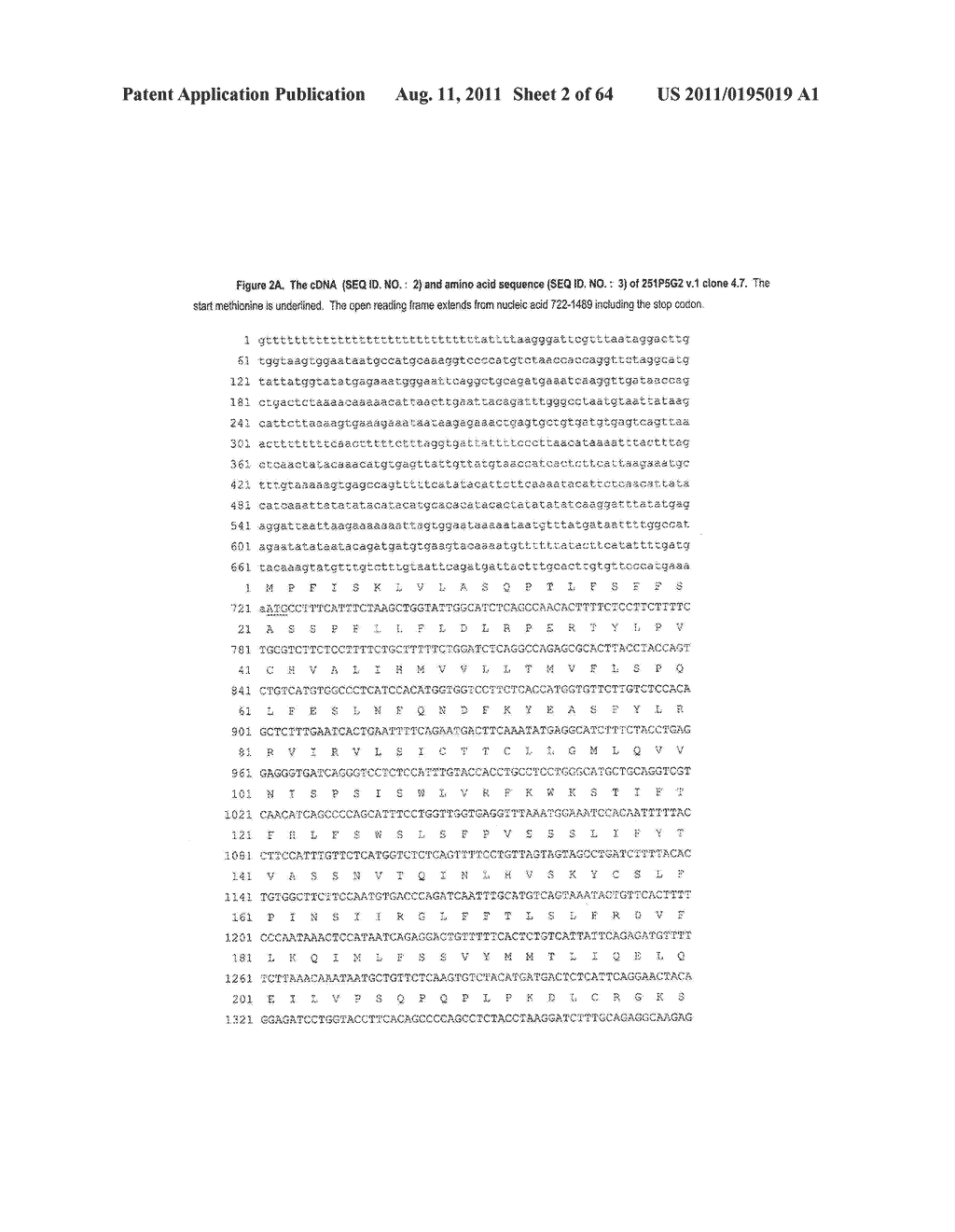 NUCLEIC ACIDS AND CORRESPONDING PROTEINS ENTITLED 251P5G2 USEFUL IN     TREATMENT AND DETECTION OF CANCER - diagram, schematic, and image 03