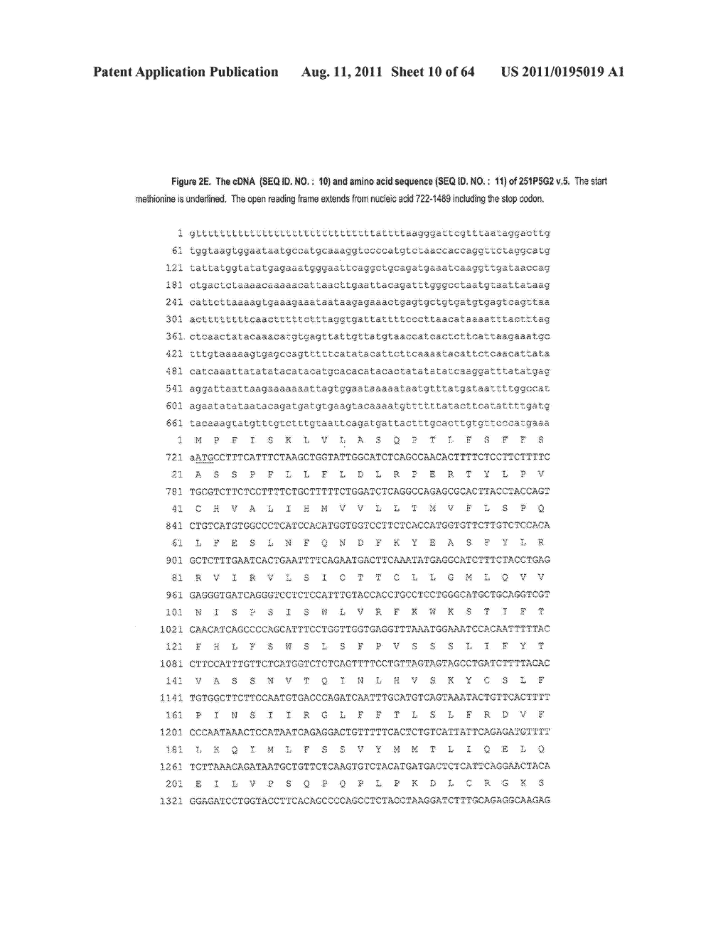 NUCLEIC ACIDS AND CORRESPONDING PROTEINS ENTITLED 251P5G2 USEFUL IN     TREATMENT AND DETECTION OF CANCER - diagram, schematic, and image 11