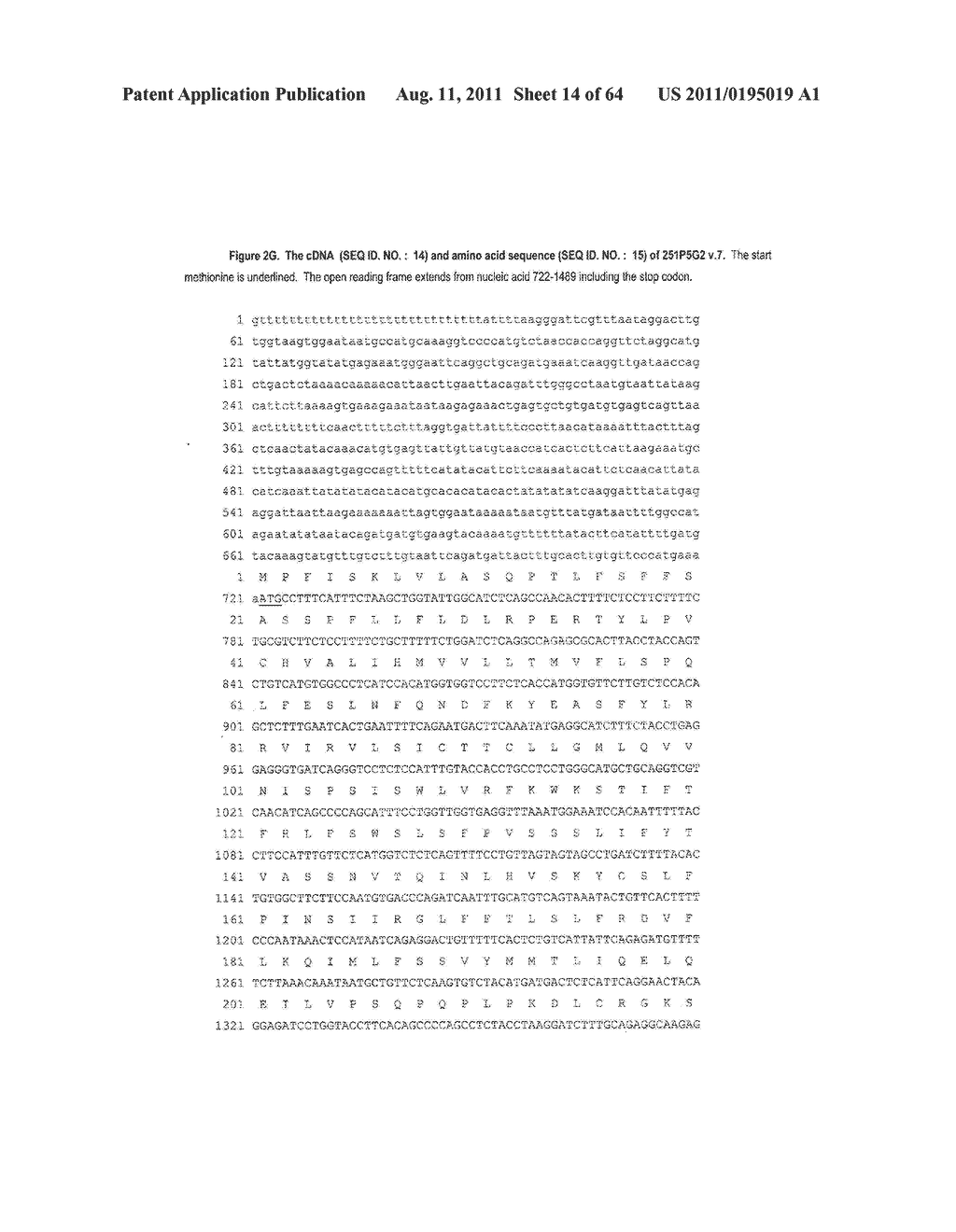 NUCLEIC ACIDS AND CORRESPONDING PROTEINS ENTITLED 251P5G2 USEFUL IN     TREATMENT AND DETECTION OF CANCER - diagram, schematic, and image 15