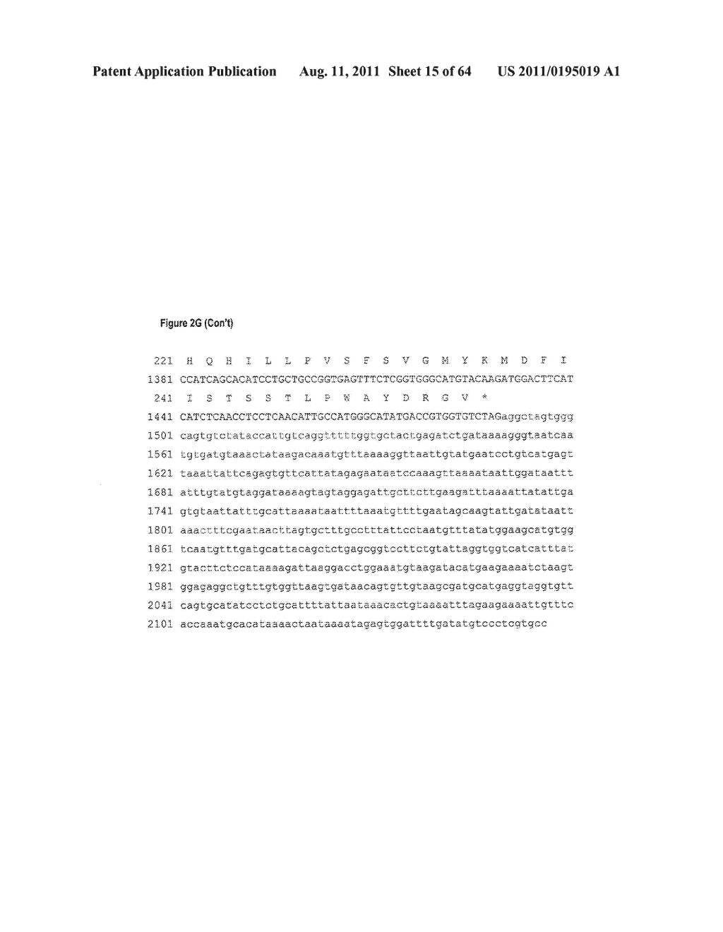 NUCLEIC ACIDS AND CORRESPONDING PROTEINS ENTITLED 251P5G2 USEFUL IN     TREATMENT AND DETECTION OF CANCER - diagram, schematic, and image 16