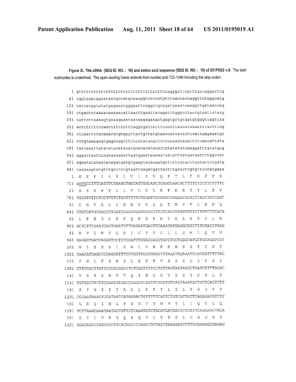 NUCLEIC ACIDS AND CORRESPONDING PROTEINS ENTITLED 251P5G2 USEFUL IN     TREATMENT AND DETECTION OF CANCER - diagram, schematic, and image 19