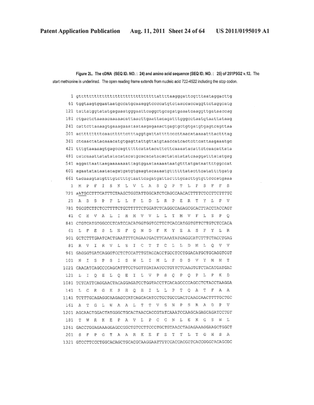 NUCLEIC ACIDS AND CORRESPONDING PROTEINS ENTITLED 251P5G2 USEFUL IN     TREATMENT AND DETECTION OF CANCER - diagram, schematic, and image 25