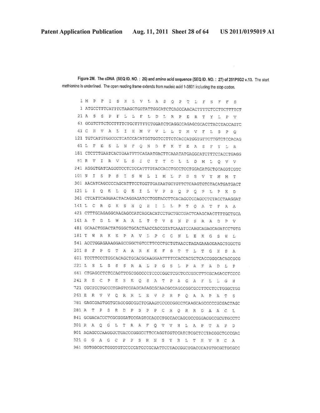 NUCLEIC ACIDS AND CORRESPONDING PROTEINS ENTITLED 251P5G2 USEFUL IN     TREATMENT AND DETECTION OF CANCER - diagram, schematic, and image 29