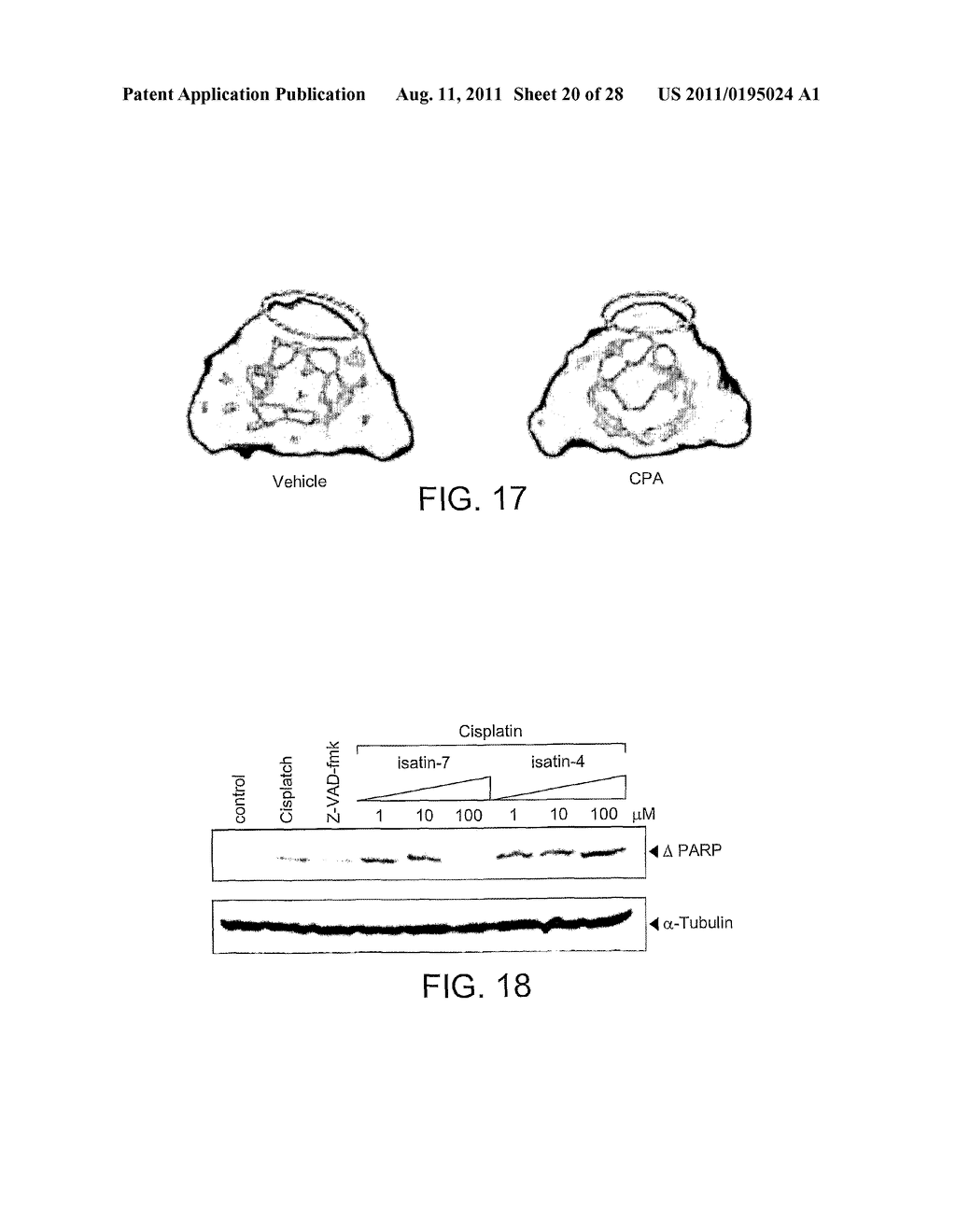 ISATIN DERIVATIVES FOR USE AS IN VIVO IMAGING AGENTS - diagram, schematic, and image 21