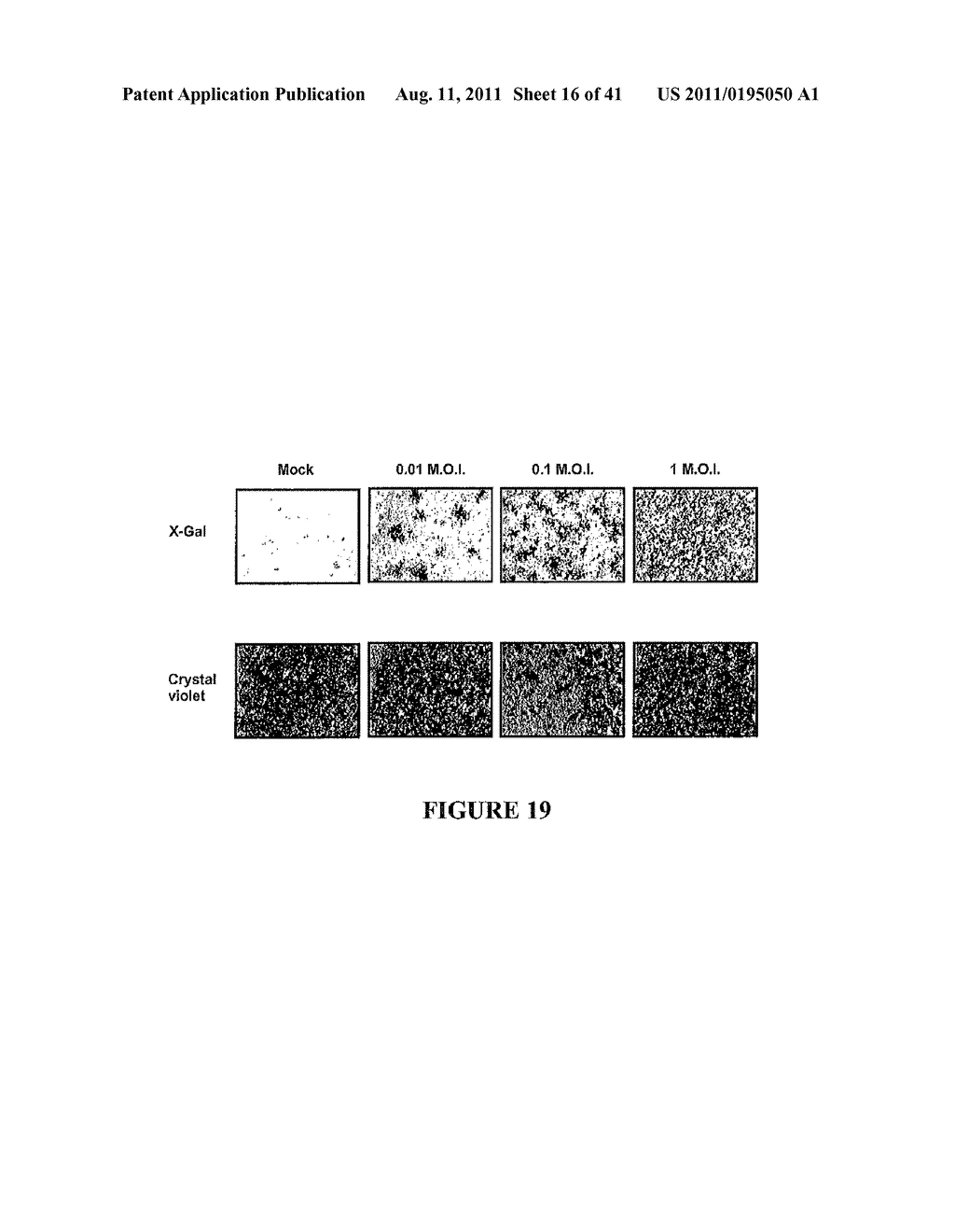 USE OF A COMBINATION OF MYXOMA VIRUS AND RAPAMYCIN FOR THERAPEUTIC     TREATMENT - diagram, schematic, and image 17