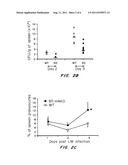 COMPOSITIONS AND METHODS FOR STIMULATING AN IMMUNE RESPONSE diagram and image