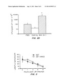 COMPOSITIONS AND METHODS FOR STIMULATING AN IMMUNE RESPONSE diagram and image