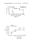 COMPOSITIONS AND METHODS FOR STIMULATING AN IMMUNE RESPONSE diagram and image