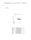 VIRUS-LIKE PARTICLES COMPRISING COMPOSITE CAPSID AMINO ACID SEQUENCES FOR     ENHANCED CROSS REACTIVITY diagram and image