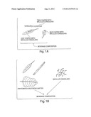 Beverage Compositions diagram and image