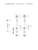 SYSTEMS AND METHODS FOR DIAGNOSING CANCER diagram and image