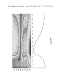 SYSTEMS AND METHODS FOR DIAGNOSING CANCER diagram and image