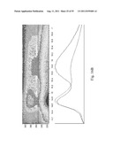 SYSTEMS AND METHODS FOR DIAGNOSING CANCER diagram and image