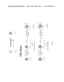 SYSTEMS AND METHODS FOR DETERMINING FOOD ALLERGIES diagram and image