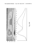 SYSTEMS AND METHODS FOR DETERMINING FOOD ALLERGIES diagram and image