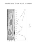 SYSTEMS AND METHODS FOR DETERMINING FOOD ALLERGIES diagram and image