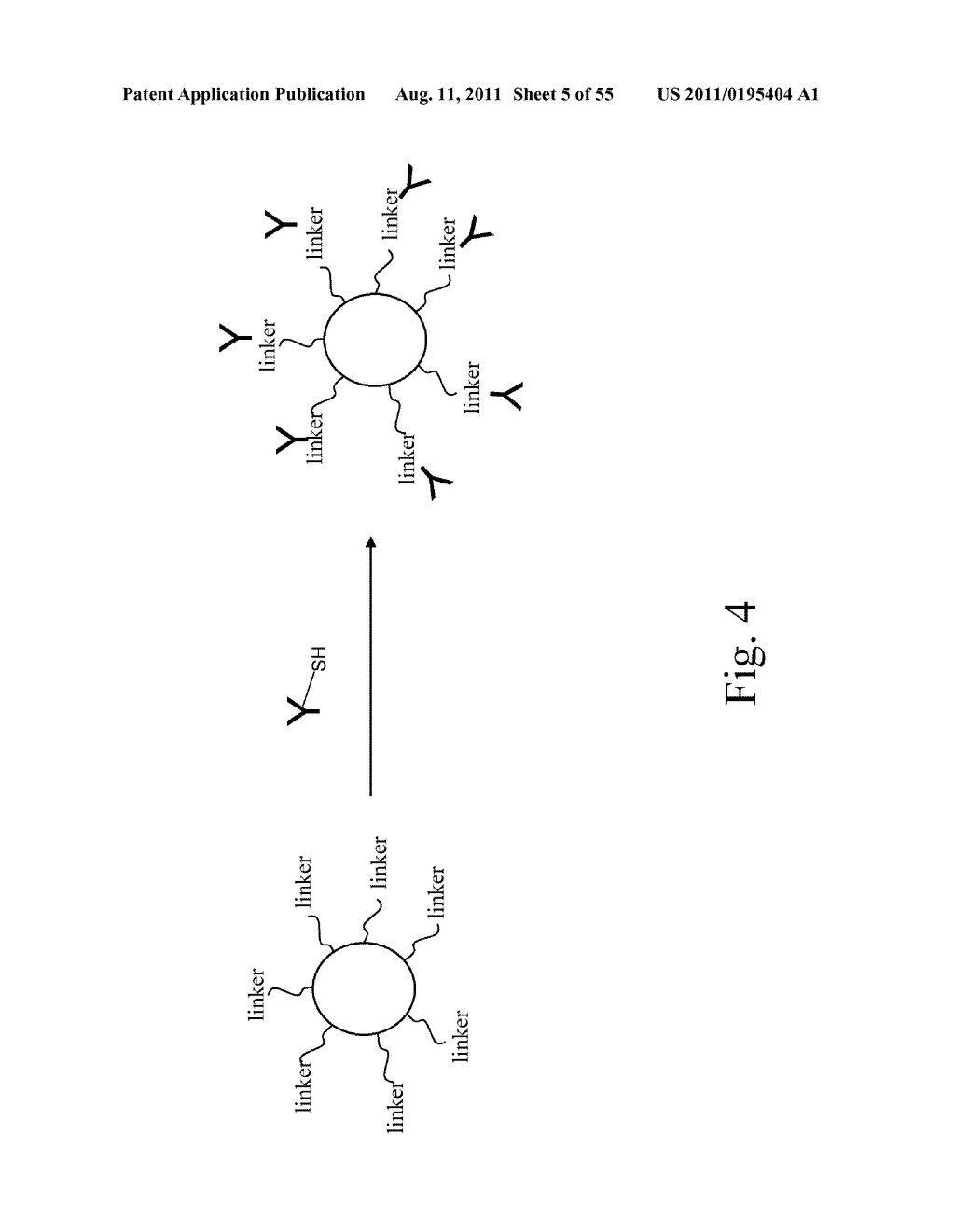 SYSTEMS AND METHODS FOR DETERMINING CALCIUM LEVELS - diagram, schematic, and image 06