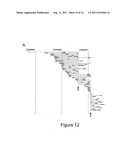 INTERMITTENT DETECTION DURING ANALYTICAL REACTIONS diagram and image